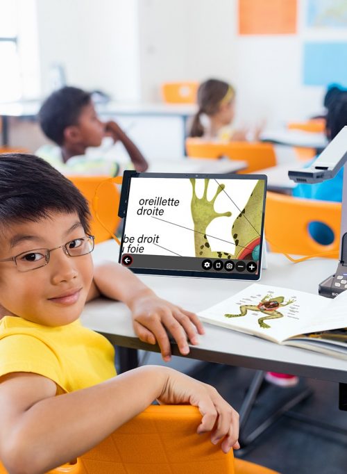 Logiciel Prodigi AI pour Windows