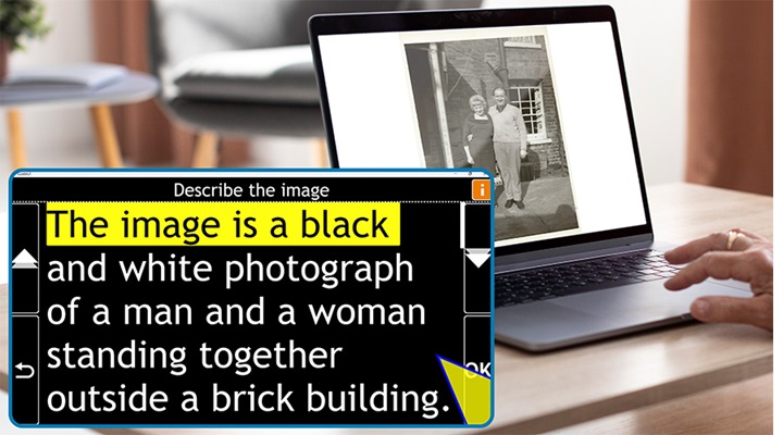 Dolphin Guide Connect