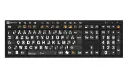 LKB-WAWB-BJPU-FR 1.webp